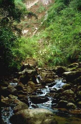 Parque Nacional Calilegua