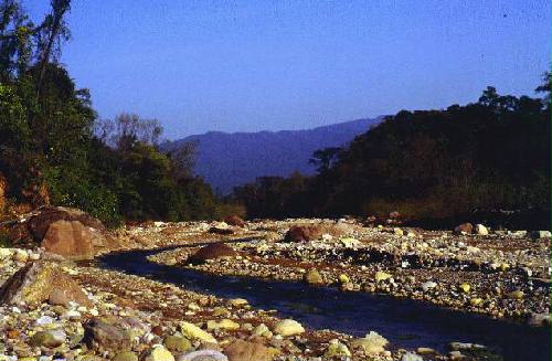 Parque Nacional Calilegua