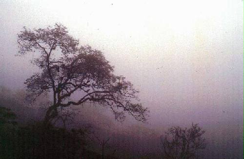 Parque Nacional Calilegua