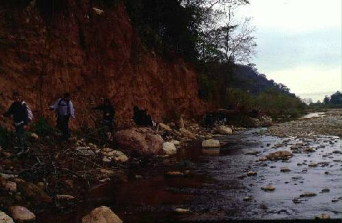 Parque Nacional Calilegua