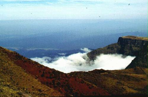 Parque Nacional Calilegua