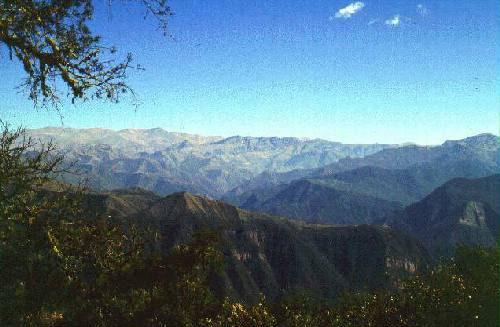 Parque Nacional Calilegua