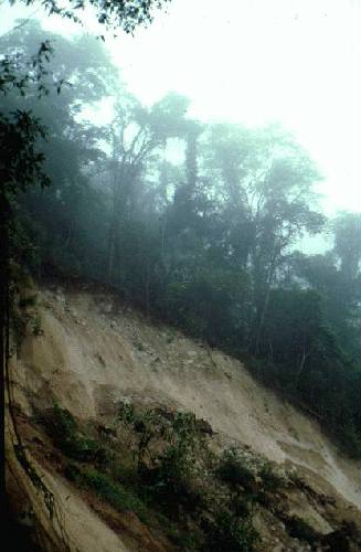 Parque Nacional Calilegua