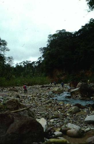 Parque Nacional Calilegua