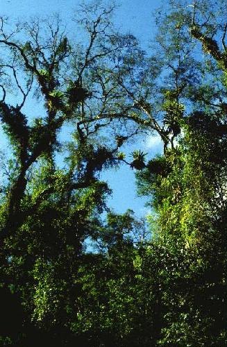 Parque Nacional Calilegua