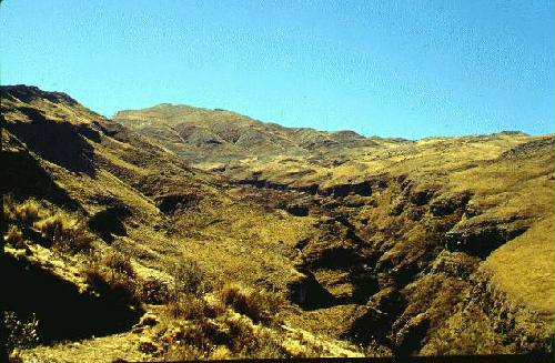 Parque Nacional Calilegua
