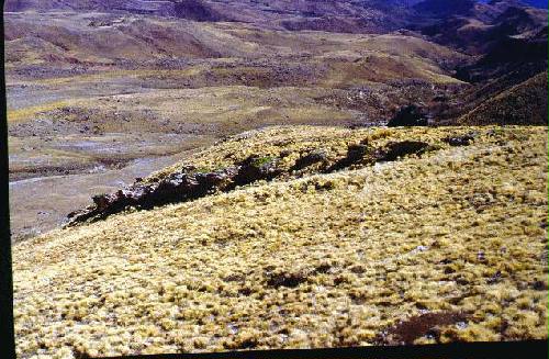 Parque Nacional Calilegua
