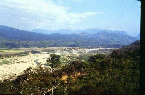 Parque Nacional Calilegua