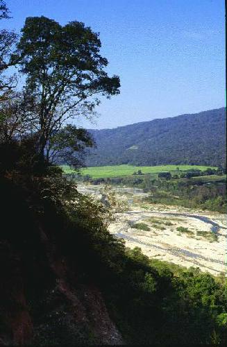 Parque Nacional Calilegua