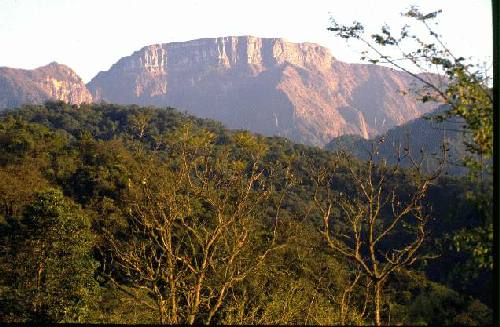 Parque Nacional Calilegua