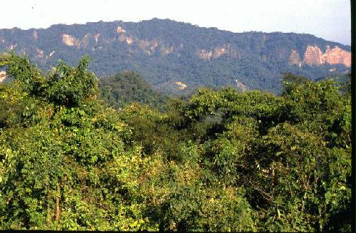 Parque Nacional Calilegua
