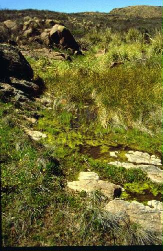 Parque Nacional Lihu Calel