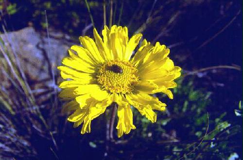 Parque Nacional Lihu Calel