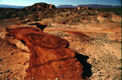 Reserva Provincial Talampaya