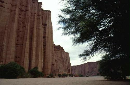 Reserva Provincial Talampaya