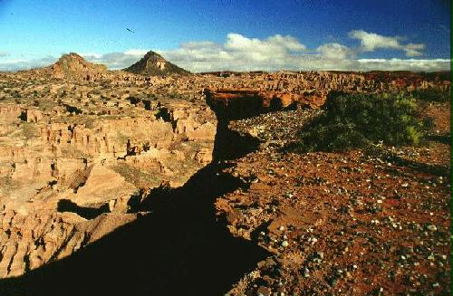 Reserva Provincial Talampaya