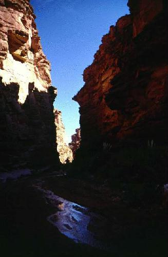 Reserva Provincial Talampaya