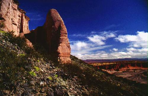 Reserva Provincial Talampaya