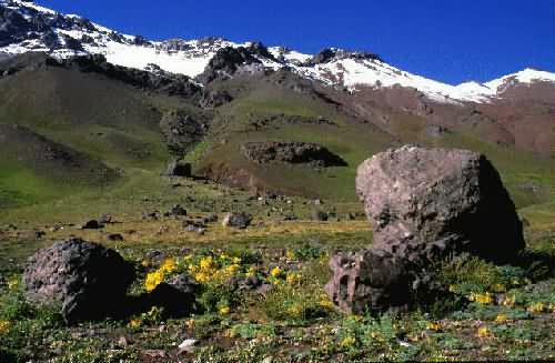 Area Natural Las Cuevas