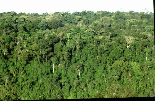 Parque Nacional Iguaz�
