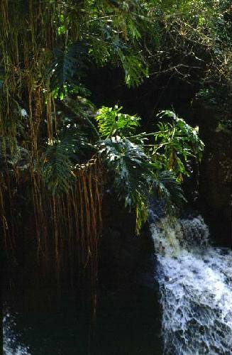 Parque Nacional Iguaz�