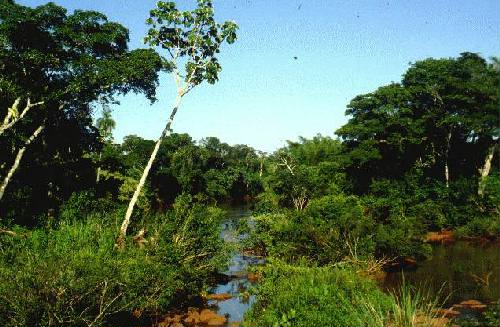 Parque Nacional Iguaz�