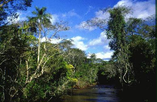 Parque Nacional Iguaz�