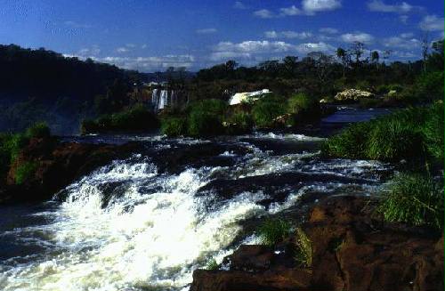Parque Nacional Iguaz�