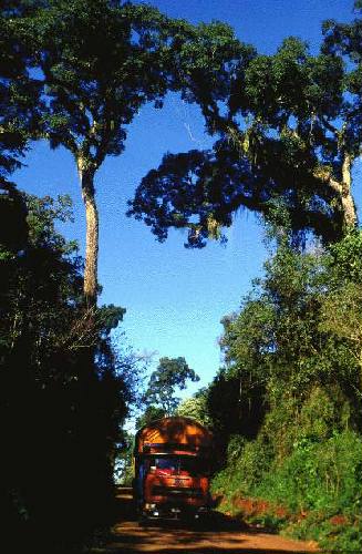 Parque Nacional Iguaz�