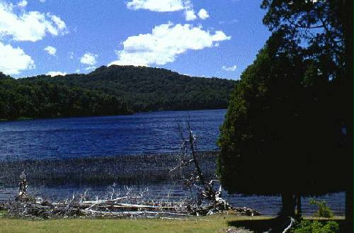 Parques Nacional Los Arrayanes