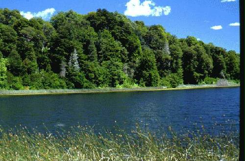 Parques Nacional Los Arrayanes