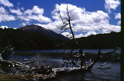 Parques Nacional Los Arrayanes