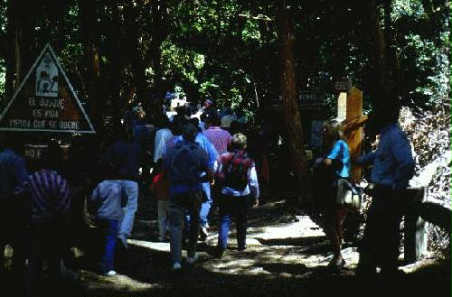 Parques Nacional Los Arrayanes