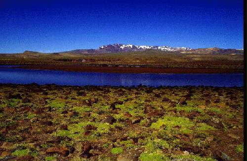 Parques Nacional Laguna Blanca