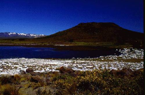 Parques Nacional Laguna Blanca