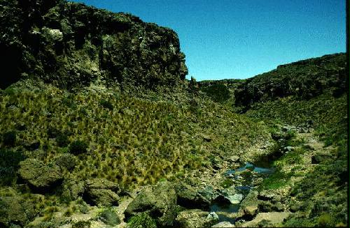 Parques Nacional Laguna Blanca