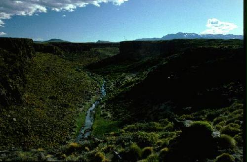Parques Nacional Laguna Blanca