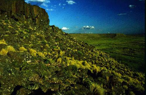 Parques Nacional Laguna Blanca