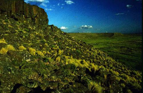 Parques Nacional Laguna Blanca