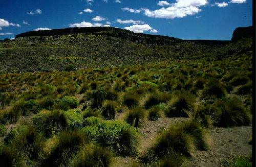 Parques Nacional Laguna Blanca