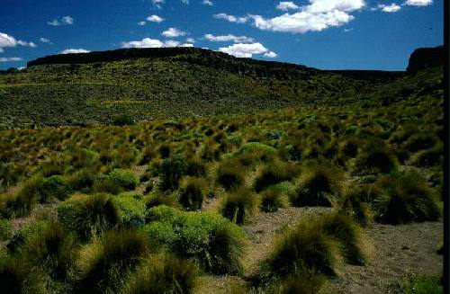 Parques Nacional Laguna Blanca