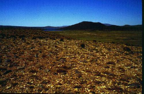 Parques Nacional Laguna Blanca