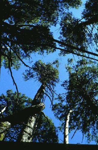Parque Nacional Nahuel Huap