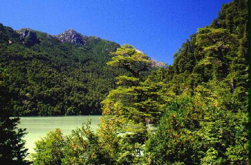 Parque Nacional Nahuel Huap