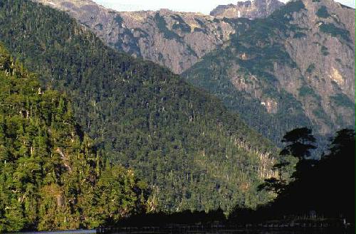Parque Nacional Nahuel Huap
