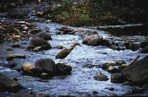 Parque Nacional Baritu