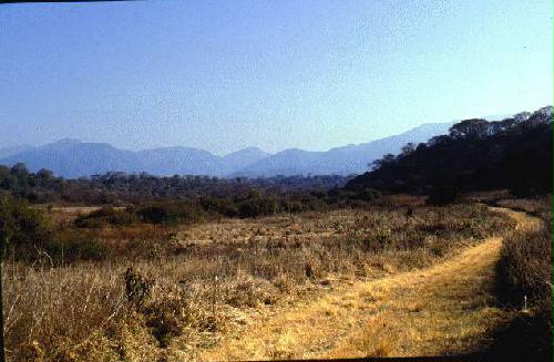 Parque Nacional El Rey