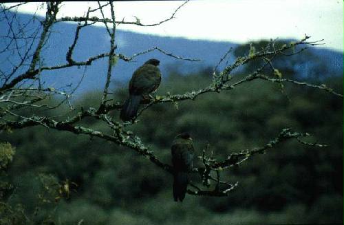 Parque Nacional El Rey