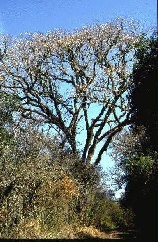 Parque Nacional El Rey