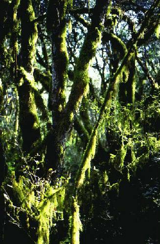 Parque Nacional El Rey